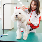 大阪動物専門学校天王寺校