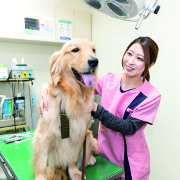 仙台ＥＣＯ動物海洋専門学校の説明会