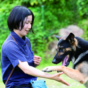 仙台ＥＣＯ動物海洋専門学校の説明会