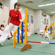 横浜動物専門学校の説明会