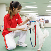 横浜動物専門学校のcampusgallery