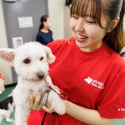 横浜動物専門学校のcampusgallery