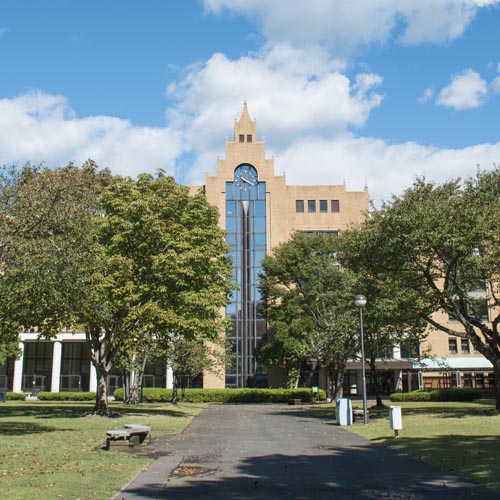 駿河台大学