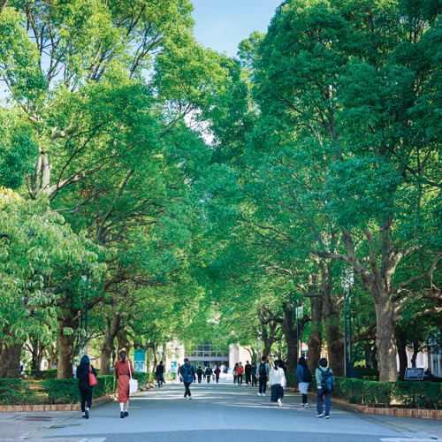 千葉商科大学