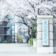 東京農業大学のオープンキャンパス