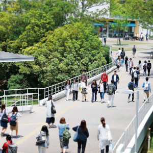 日本福祉大学1