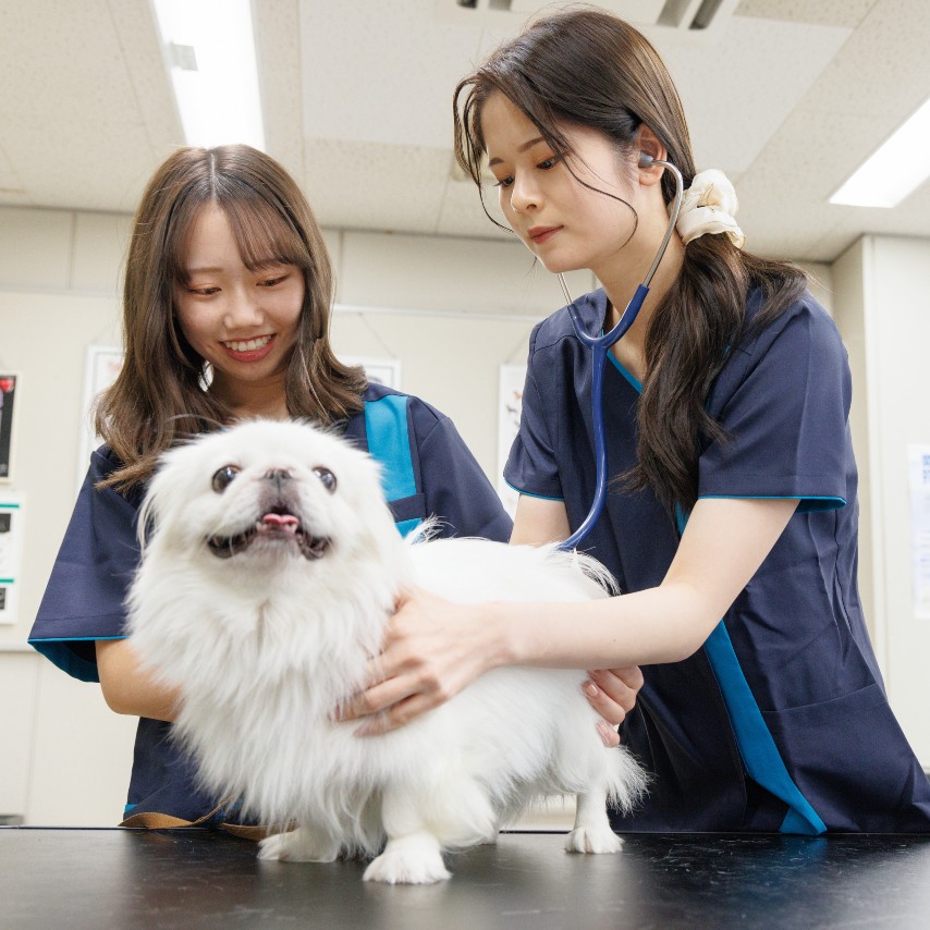 大阪動物専門学校天王寺校1