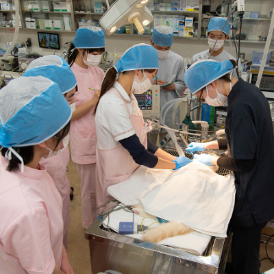 専門学校 東北動物看護学院1