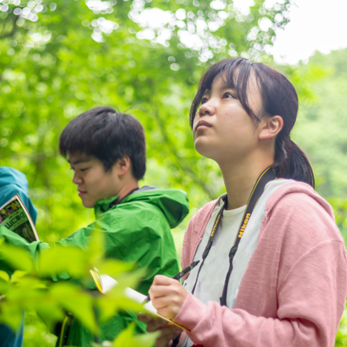 日本自然環境専門学校のオープンキャンパス