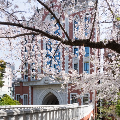 慶應義塾大学