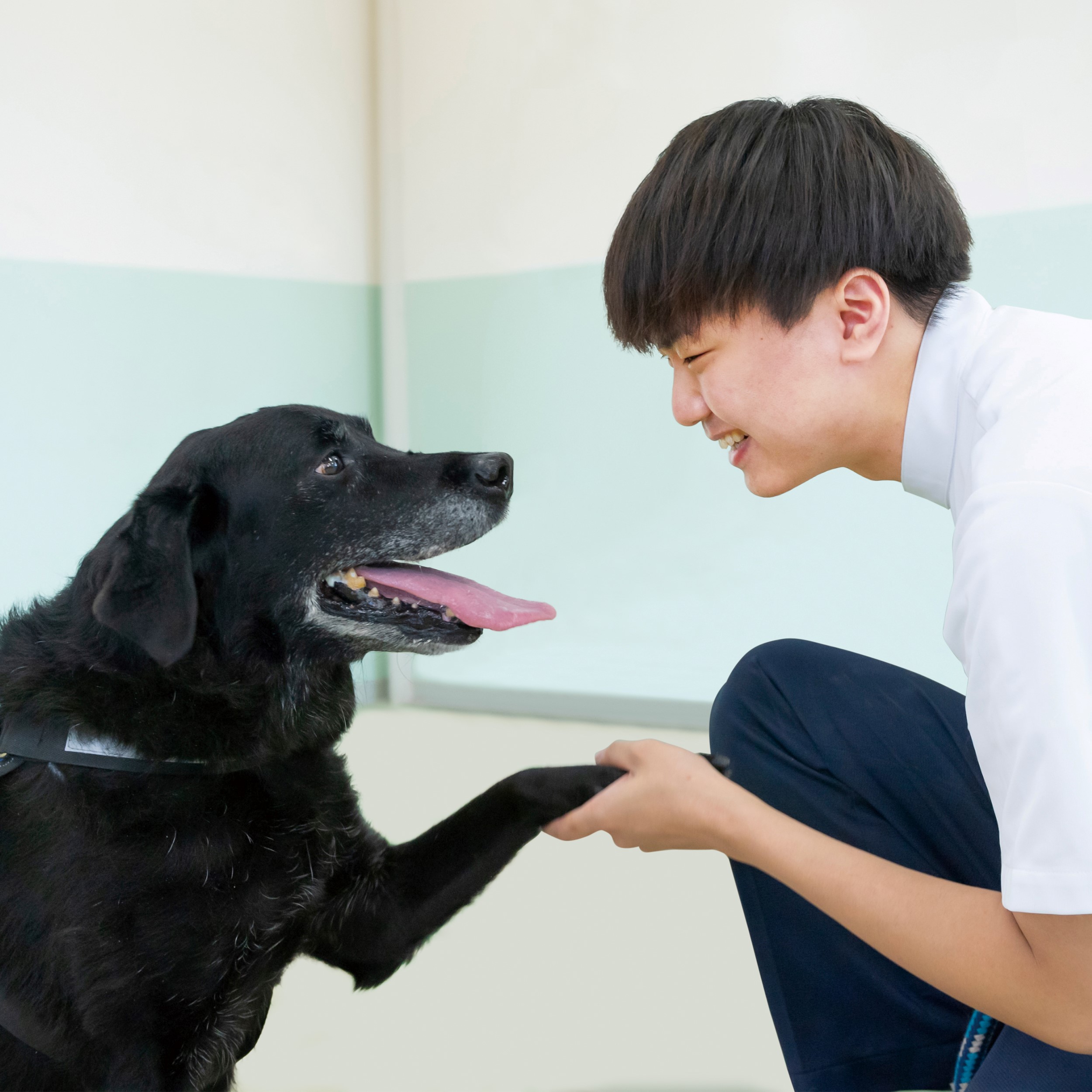 関西学研医療福祉学院4