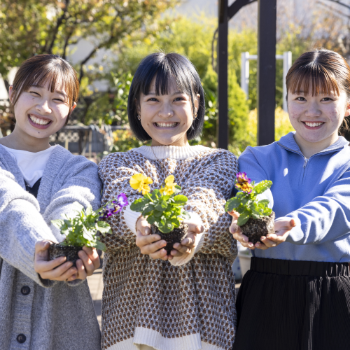 甲子園短期大学