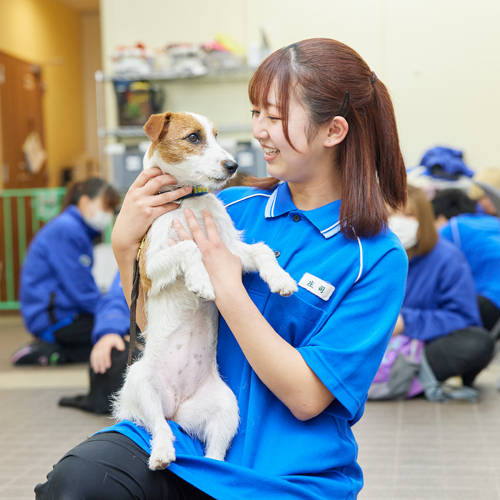 大宮国際動物専門学校3