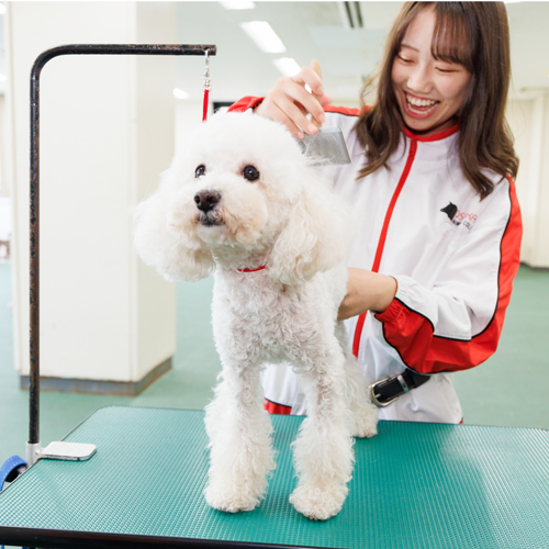 大阪動物専門学校