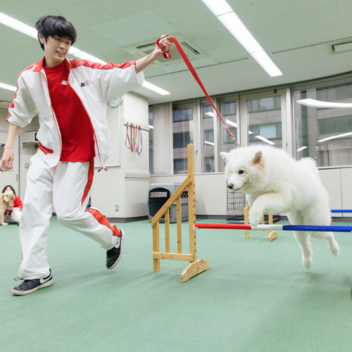 大阪動物専門学校天王寺校3