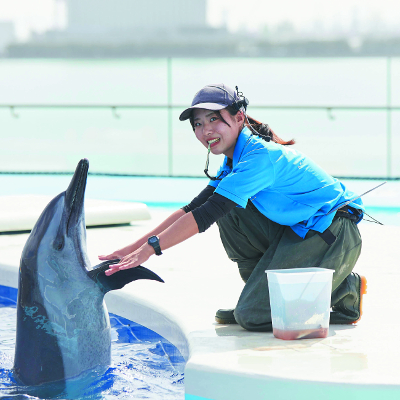 仙台ＥＣＯ動物海洋専門学校2