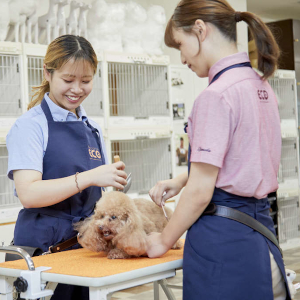 名古屋ＥＣＯ動物海洋専門学校2