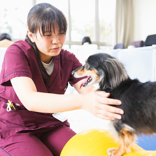 ＴＣＡ東京ＥＣＯ動物海洋専門学校3