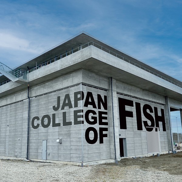 日本さかな専門学校3