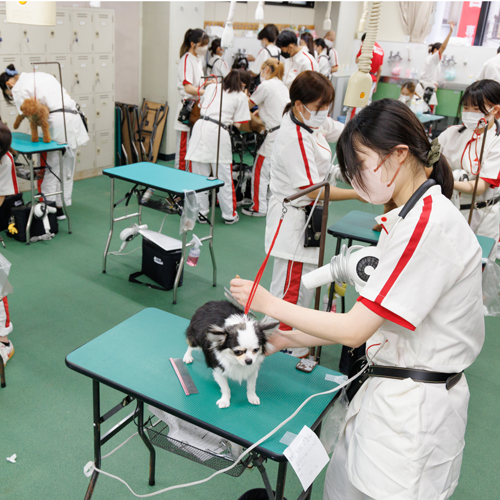 横浜動物専門学校3