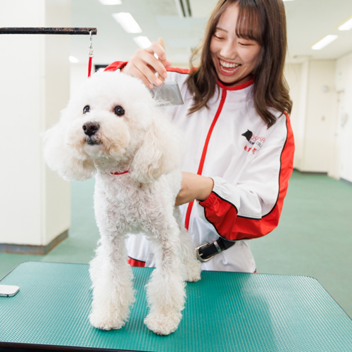 横浜動物専門学校4