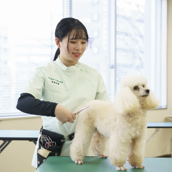 仙台総合ペット専門学校