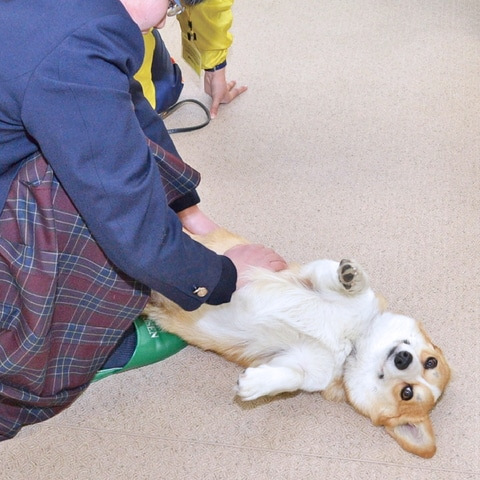 「未来」に「つながる」
RiSENのオープンキャンパス
【動物飼育トレーニング学科】／岡山理科大学専門学校