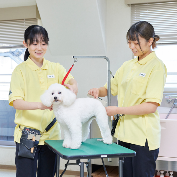 大宮国際動物専門学校