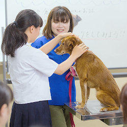 ＭＣＬ盛岡ペットワールド専門学校