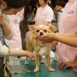 体験入学／つくば国際ペット専門学校