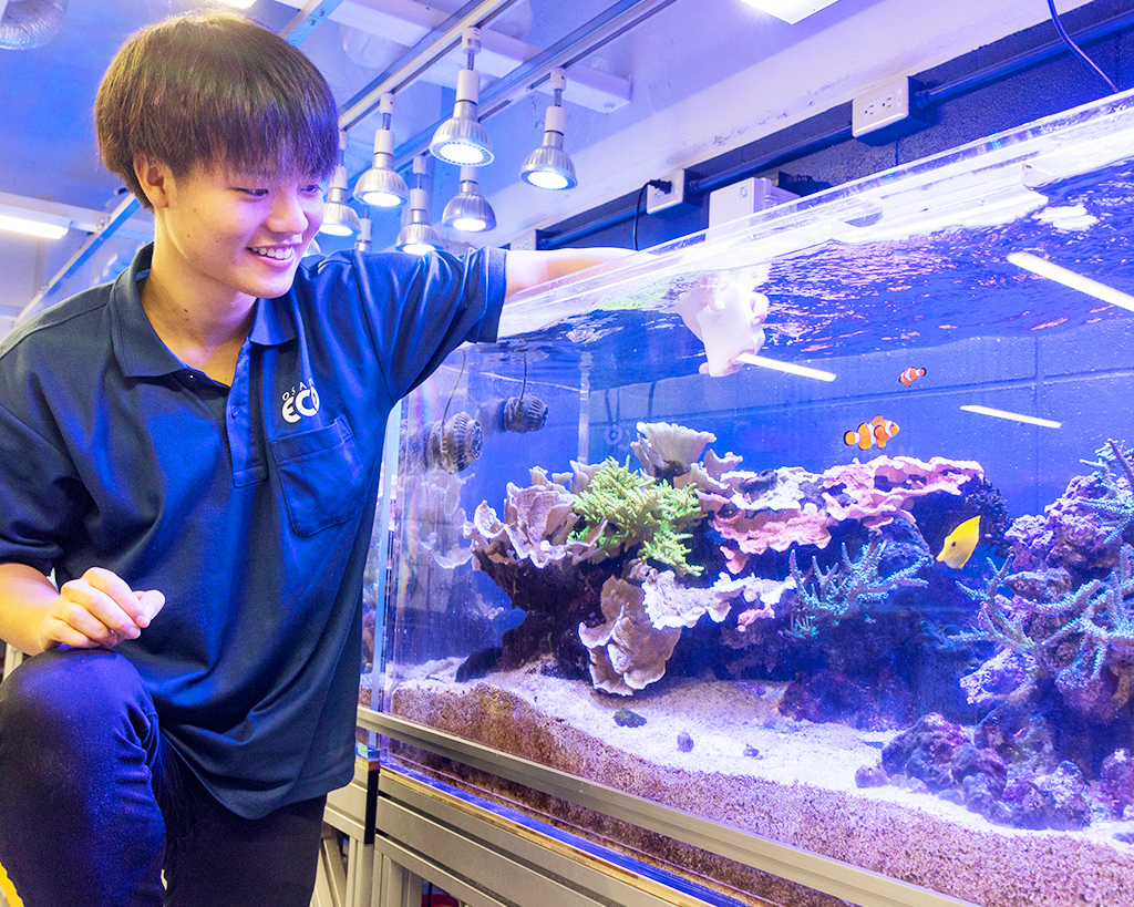 水族館・アクアリスト体験／大阪ＥＣＯ動物海洋専門学校