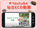 仙台ＥＣＯ動物海洋専門学校