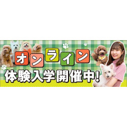 名古屋ＥＣＯ動物海洋専門学校