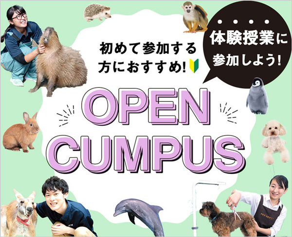 ＴＣＡ東京ＥＣＯ動物海洋専門学校