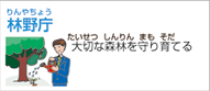 農林水産省 林野庁（国家公務員）