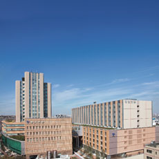 帝京大学