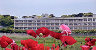 千葉県立袖ヶ浦高等学校