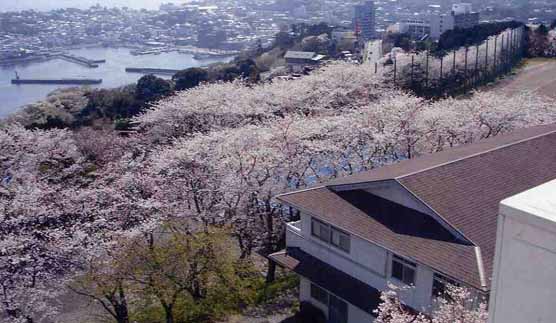 稲取高等学校