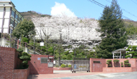 島本高等学校