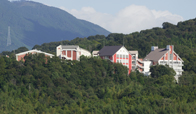 初芝富田林高等学校