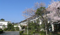 勝山高等学校