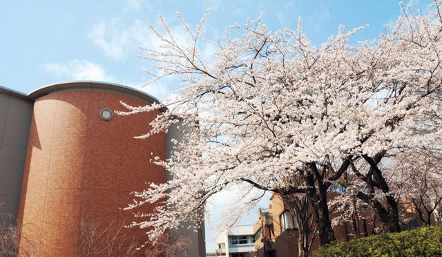 桜美林高等学校