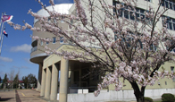 札幌白陵高等学校