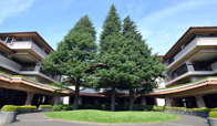 玉川学園小学部