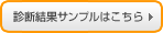 診断結果サンプルはこちら