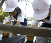 静岡県　東海大学付属小学校　全児童のみなさん3