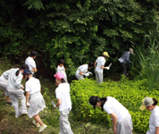 東京都　小野学園女子中学校　ホタル自生研究室のみなさん4