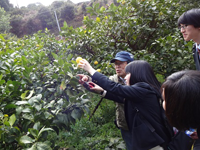 静岡県　熱海高校　ビジネス観光類型のみなさん2