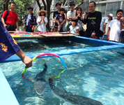 愛媛県　長浜高校　水族館部のみなさん4