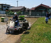 三重県　明野高校　生産科学科作物専攻の３年生のみなさん4